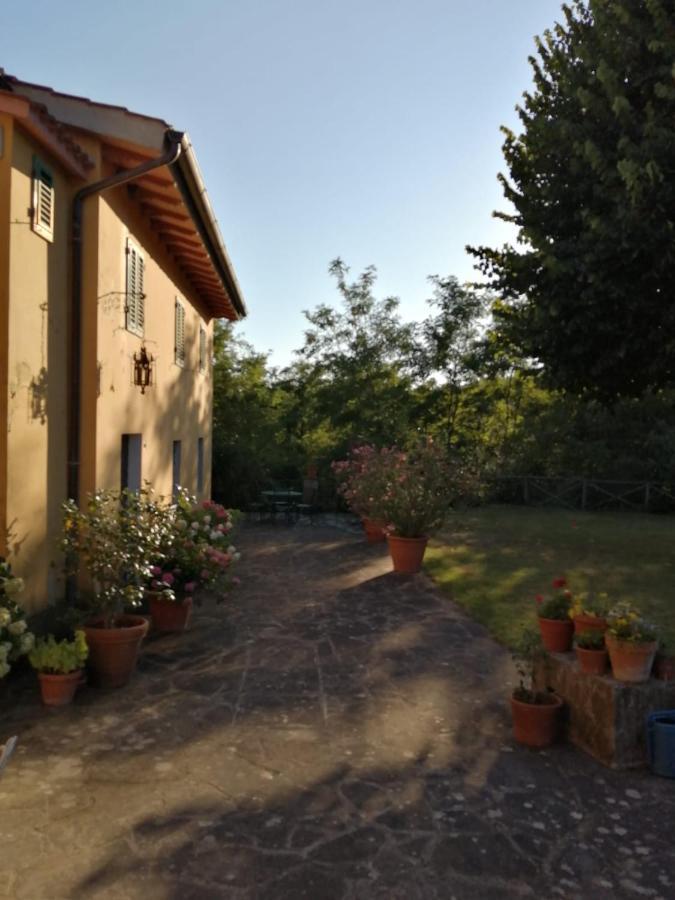 Mugello - Casa Di Campagna Bed & Breakfast Vicchio Dış mekan fotoğraf