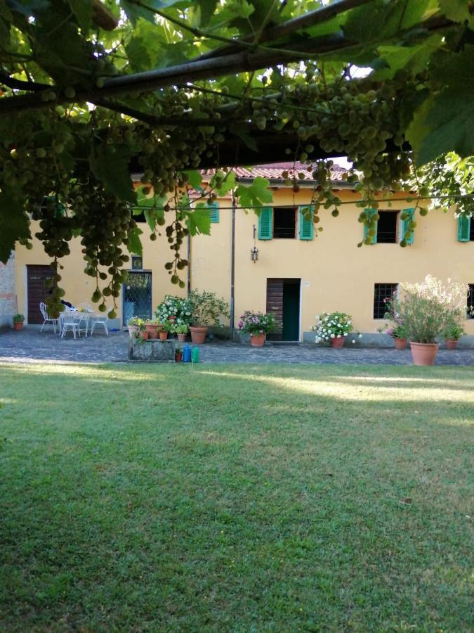 Mugello - Casa Di Campagna Bed & Breakfast Vicchio Dış mekan fotoğraf